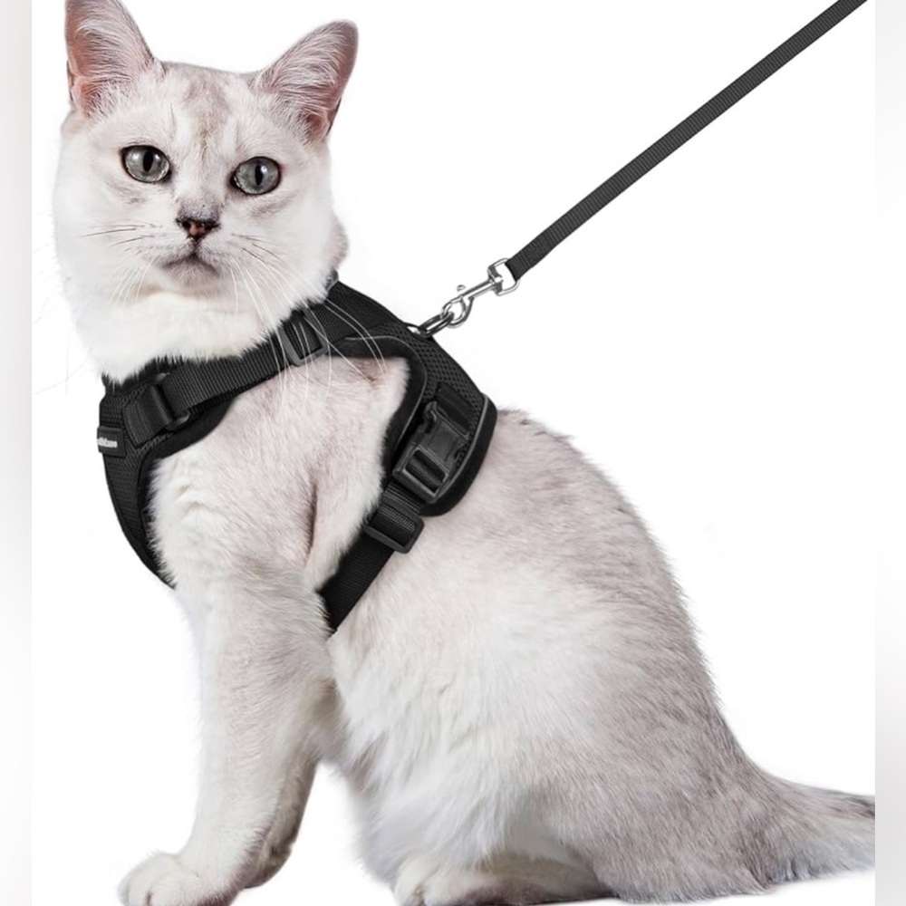 Rabbitgoo Cat Harness